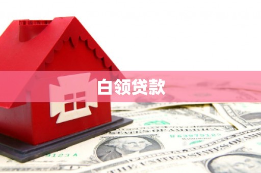 隆子白领贷款