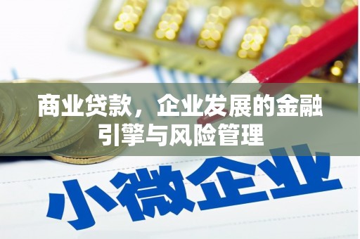 八德商业贷款，企业发展的金融引擎与风险管理