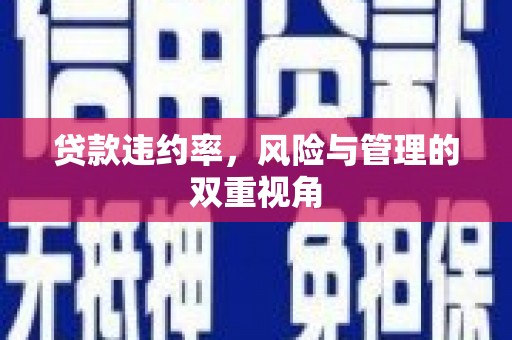 沁县贷款违约率，风险与管理的双重视角