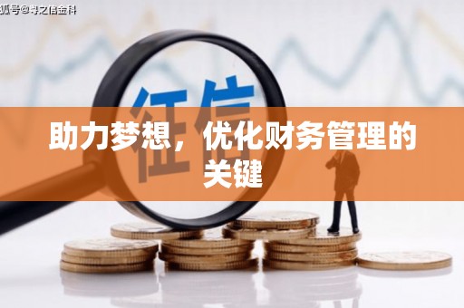 洋县助力梦想,优化财务管理的关键 洋县助力梦想,优化财务管理的关键