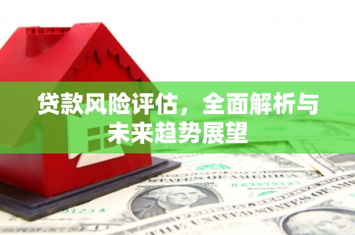 临安贷款风险评估，全面解析与未来趋势展望