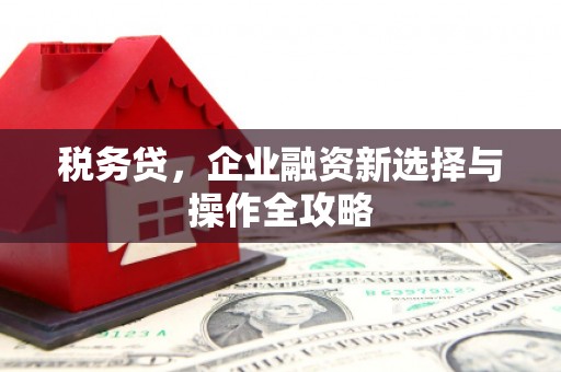 麻山税务贷，企业融资新选择与操作全攻略