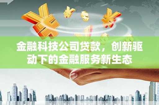 博湖金融科技公司贷款，创新驱动下的金融服务新生态