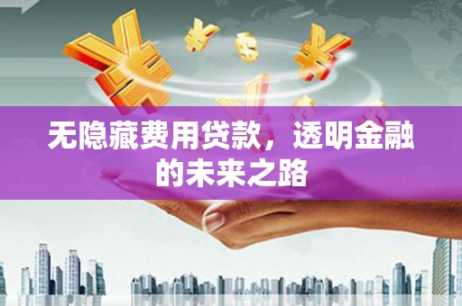 洋县无隐藏费用贷款，透明金融的未来之路
