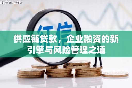 滨海供应链贷款，企业融资的新引擎与风险管理之道
