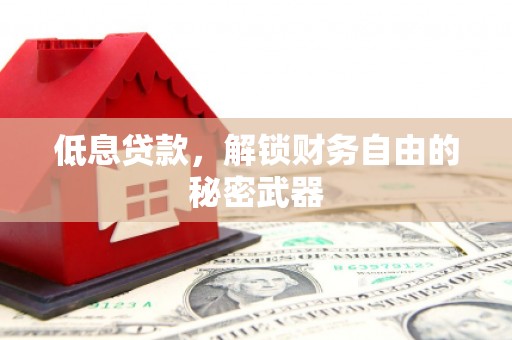 浔阳低息贷款，解锁财务自由的秘密武器