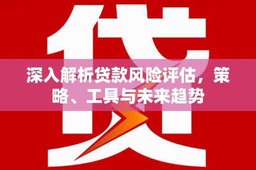 水林深入解析贷款风险评估，策略、工具与未来趋势