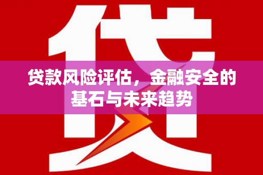 临湘贷款风险评估，金融安全的基石与未来趋势