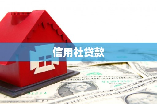 城厢信用社贷款