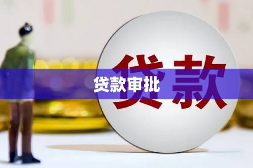 金阳贷款审批