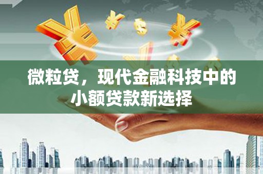 安乐微粒贷，现代金融科技中的小额贷款新选择