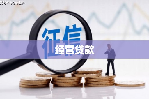 汤原经营贷款
