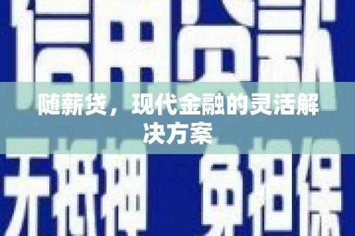 隆阳随薪贷，现代金融的灵活解决方案
