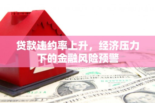 盐津贷款违约率上升，经济压力下的金融风险预警
