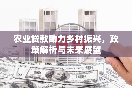 夏县农业贷款助力乡村振兴，政策解析与未来展望