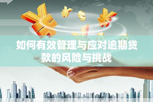 师宗如何有效管理与应对逾期贷款的风险与挑战