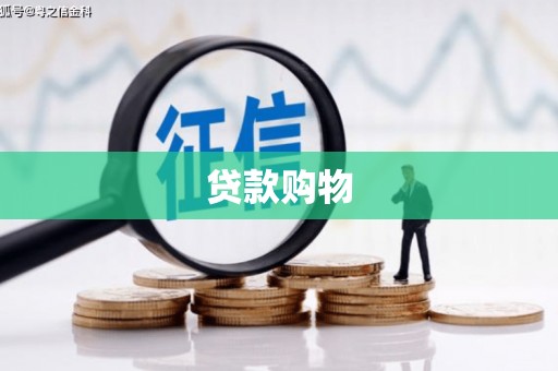 琼结贷款购物