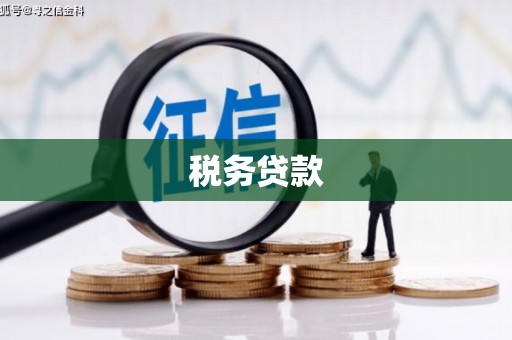 武江税务贷款