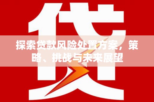 红塔探索贷款风险处置方案，策略、挑战与未来展望