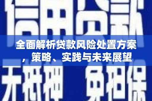 石龙全面解析贷款风险处置方案，策略、实践与未来展望