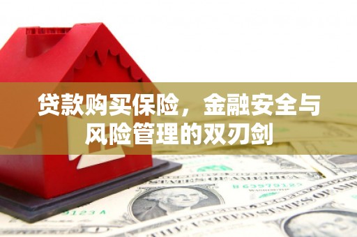 广水贷款购买保险，金融安全与风险管理的双刃剑