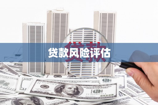 南充贷款风险评估