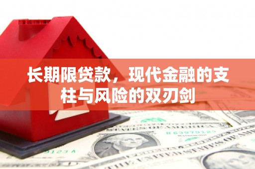 分宜长期限贷款，现代金融的支柱与风险的双刃剑