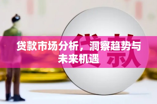 善化贷款市场分析，洞察趋势与未来机遇