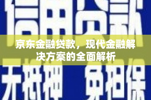 阳东京东金融贷款，现代金融解决方案的全面解析