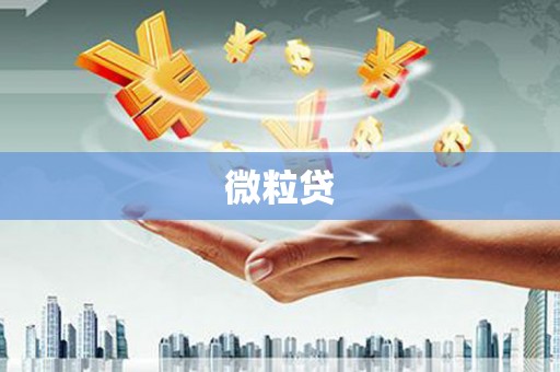 内湖微粒贷