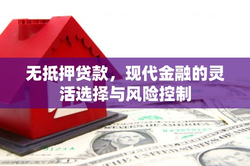 南丹无抵押贷款，现代金融的灵活选择与风险控制