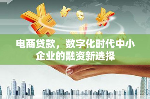 凤林电商贷款，数字化时代中小企业的融资新选择
