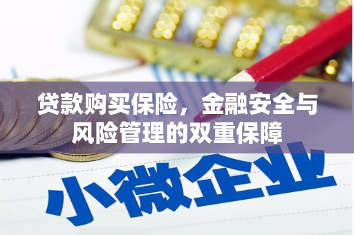 市中区贷款购买保险，金融安全与风险管理的双重保障