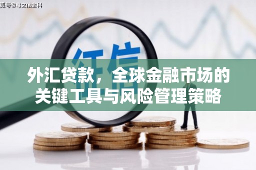 戚墅堰外汇贷款，全球金融市场的关键工具与风险管理策略