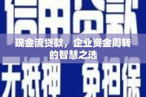 萨嘎现金流贷款，企业资金周转的智慧之选