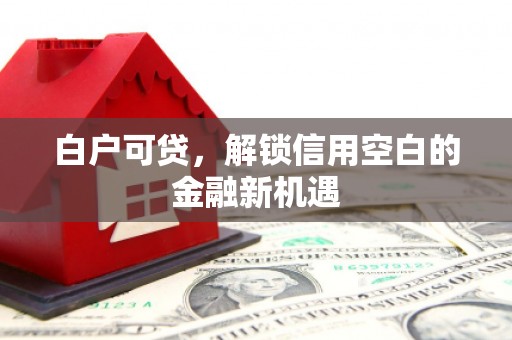 巴楚白户可贷，解锁信用空白的金融新机遇