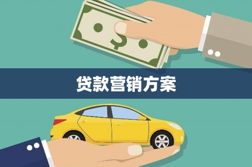 法库贷款营销方案