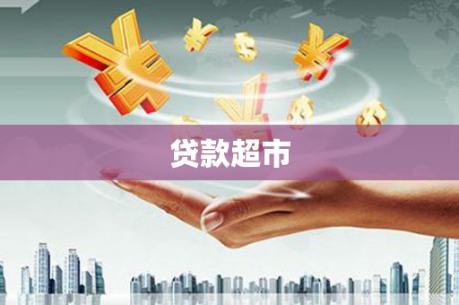 武山贷款超市