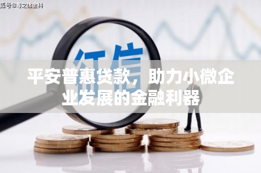 桦川平安普惠贷款，助力小微企业发展的金融利器