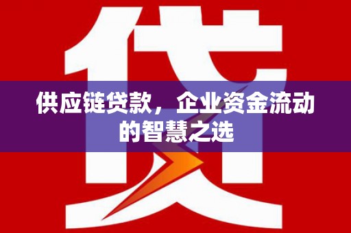 赫山供应链贷款，企业资金流动的智慧之选