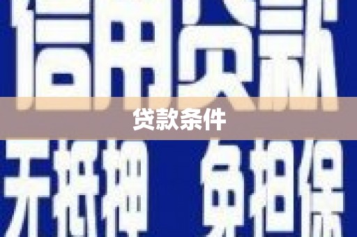泰宁贷款条件