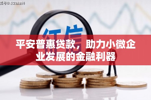 金溪平安普惠贷款，助力小微企业发展的金融利器