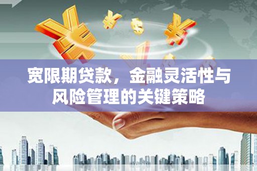 乌丘宽限期贷款，金融灵活性与风险管理的关键策略