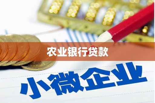 巴里坤农业银行贷款