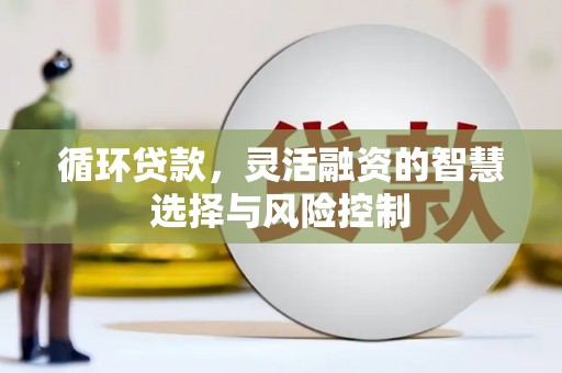 东兴循环贷款，灵活融资的智慧选择与风险控制