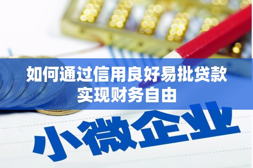 永善如何通过信用良好易批贷款实现财务自由