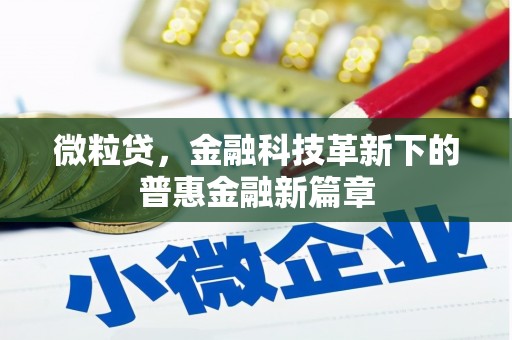 原平微粒贷，金融科技革新下的普惠金融新篇章