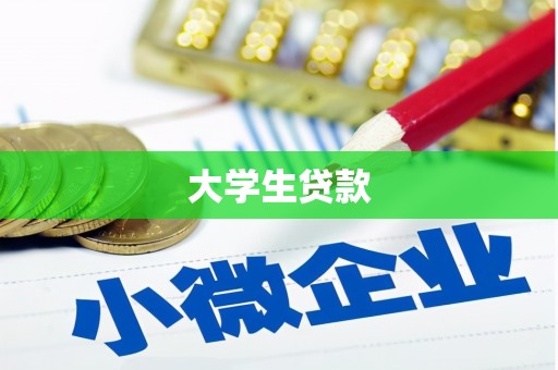 三元大学生贷款