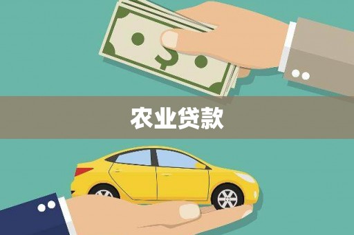 灌阳农业贷款