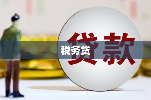 源城税务贷